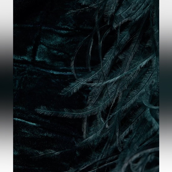 16Arlington Minelli Velvet Feather-Hem Midi Dress US 4 new with tags $1450 - Picture 12 of 12